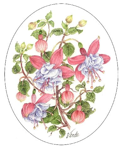 Pink and Blue Fuchsias embroidery panel, ready to embroider 1