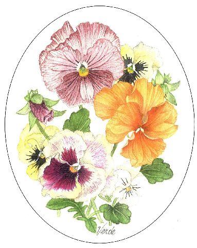 Pansy Smile embroidery panel, ready to embroider 1
