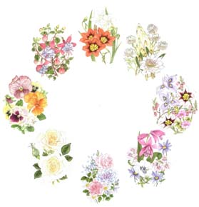 Flower Clock embroidery panel, ready to embroider 1