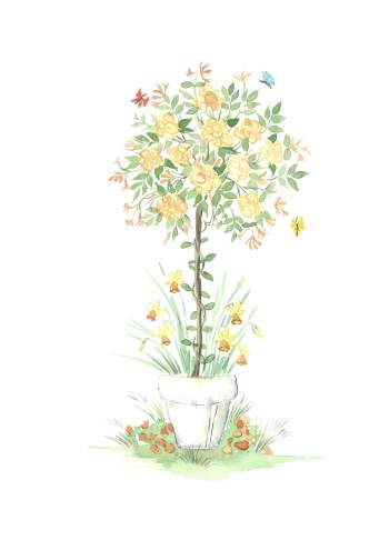 Set A Peach rose A3 (Large) embroidery panel 1