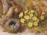 NL4 – Primroses embroidery panel, ready to embroider 1