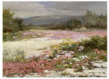 NR01 A Desert Carpet A4 (Medium) embroidery panel, ready to embroider 1