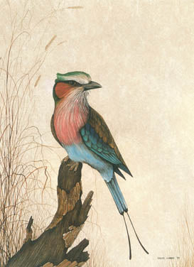 Lilac-Breasted Roller A4 (Medium) embroidery panel 1