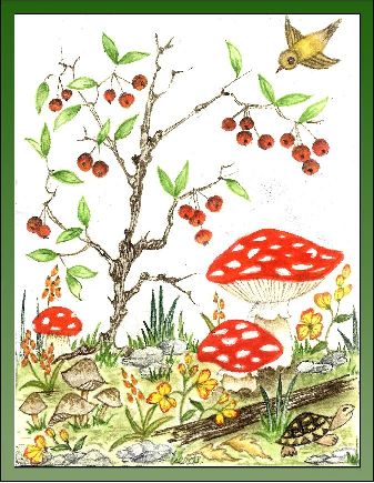 Berry Tree embroidery panel, ready to embroider 1
