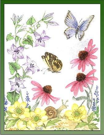Yellow Anenome, Blue Companula, ConeFlower embroidery panel 1