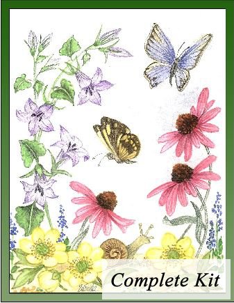 Yellow Anenome, Blue Companula, ConeFlower Embroidery Kit 1