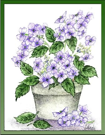 Hydrangea embroidery panel, ready to embroider 1