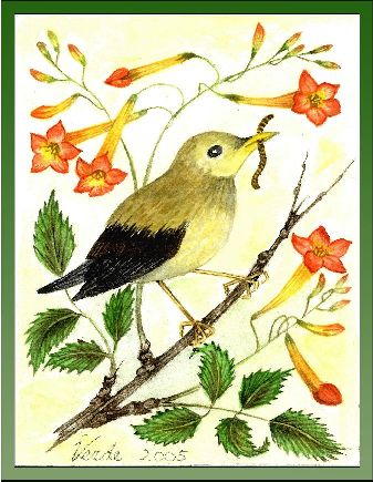 Starling in a Marmalade Bush embroidery panel, ready to embroider 1