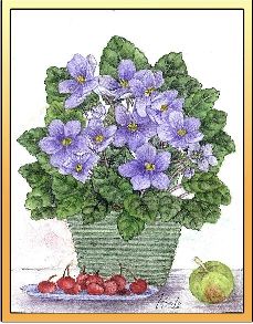 African Violet embroidery panel, ready to embroider 1