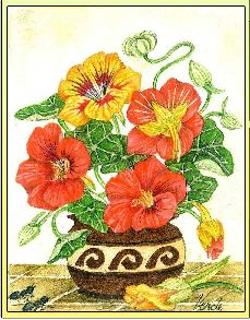 Nasturtiums embroidery panel, ready to embroider 1