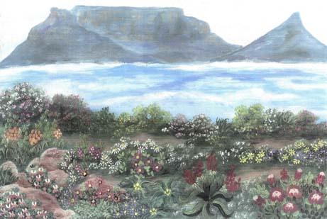 Table Mountain A3 (Large) embroidery panel, ready to embroider 1