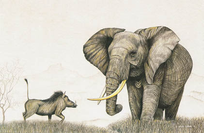 Warthog - A3 (Large) embroidery panel, ready to embroider 1