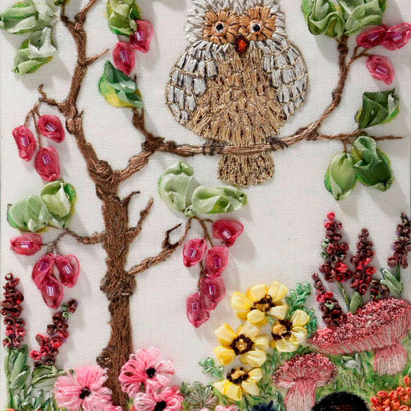 Downloadable Lesson 2 - A Wise Owl 1