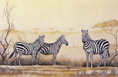 Burchell’s Zebra - A4 (Medium) embroidery panel, ready to embroider 1